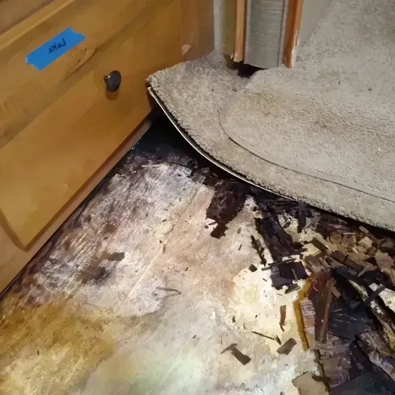 Wood Floor Water Damage in El Paso County, TX